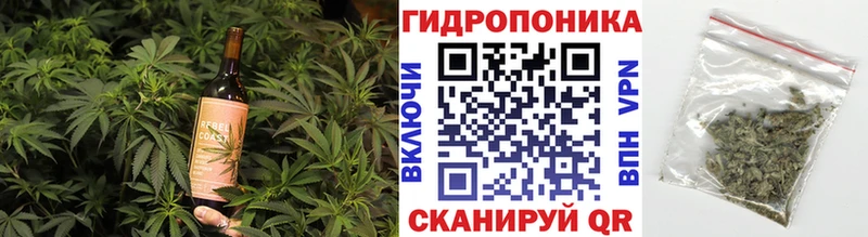 гидра онион  Фурманов  Печенье с ТГК конопля  как найти наркотики 