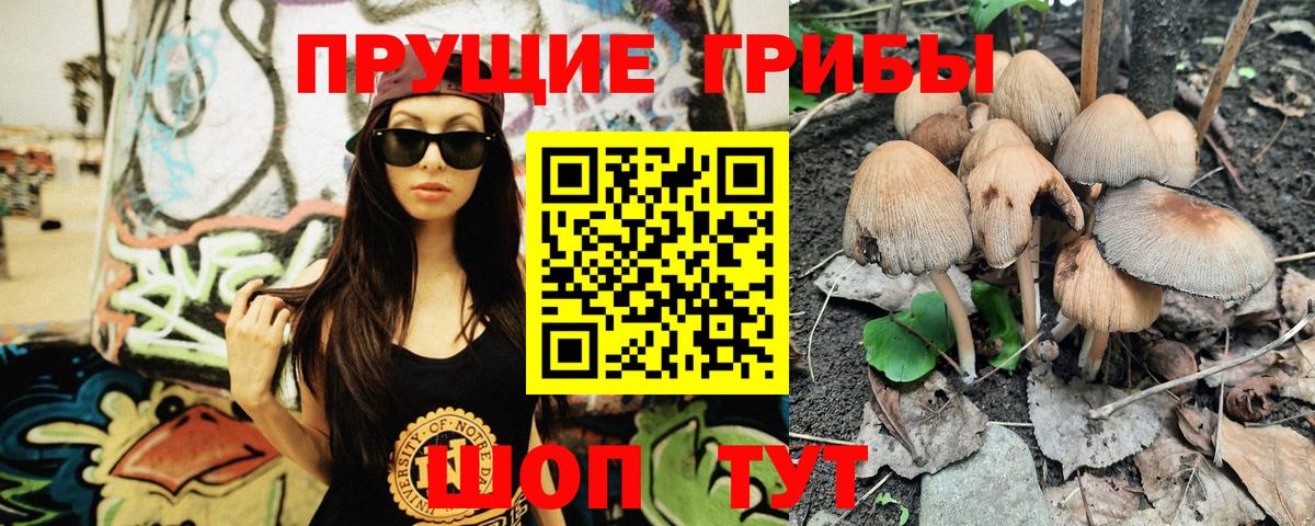 что такое   Вход с VPN  Фурманов  Галлюциногенные грибы прущие грибы 