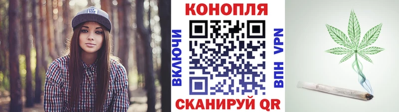 Бошки Шишки планчик darknet как зайти Фурманов как найти закладки